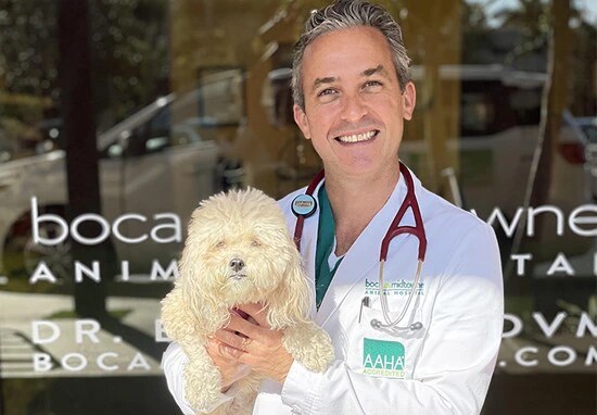 Vétérinaire avec chien à la clinique vétérinaire
