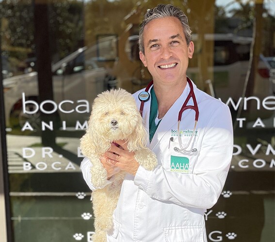 Dr Boaz Man